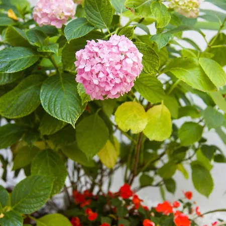 Appartement Gray Rock